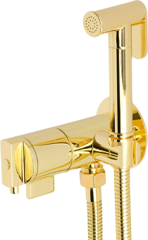 Гигиенический душ Migliore Fortis 31558 золото, с термостатом